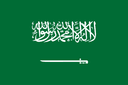 sa flag