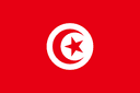 tn flag
